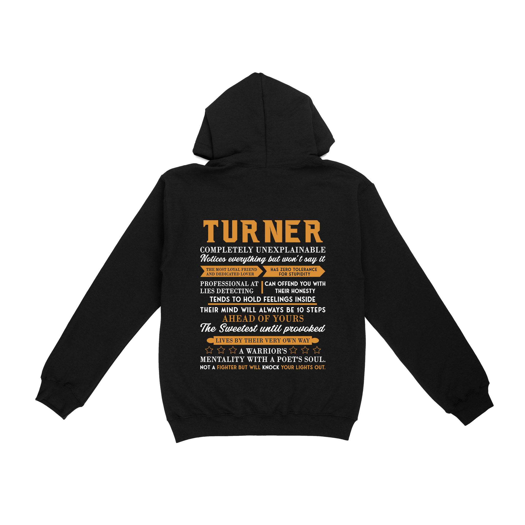 Turner - 2D Unisex Hoodie