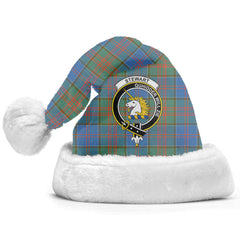 Stewart of Appin Hunting Ancient Tartan Crest Christmas Hat