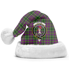 Taylor Tartan Crest Christmas Hat