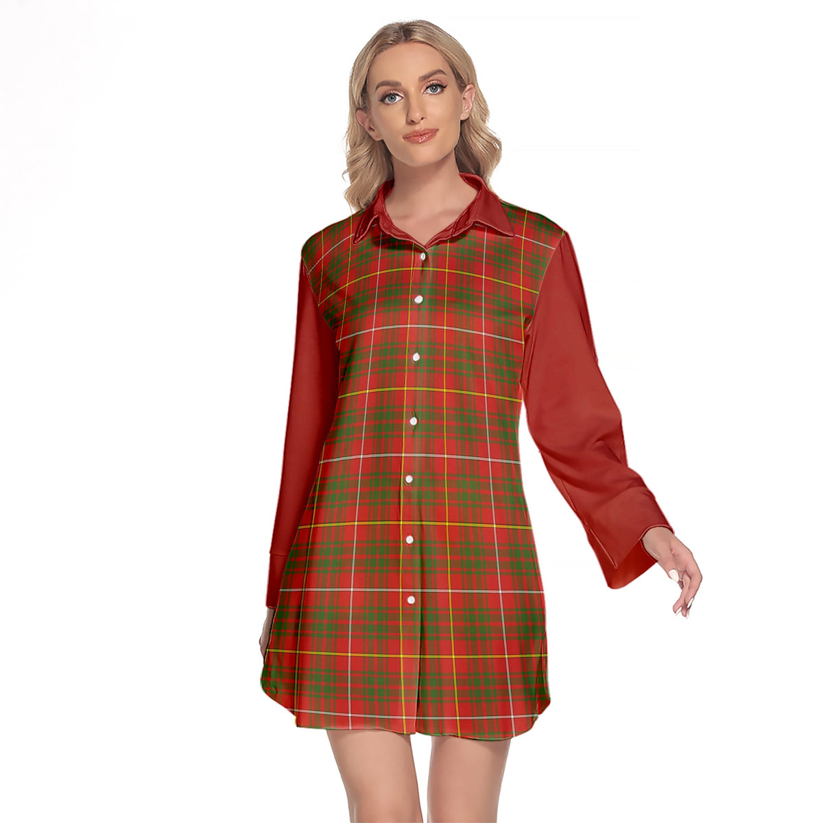 Bruce Modern Tartan Women's Lapel Shirt Dress With Long Sleeve