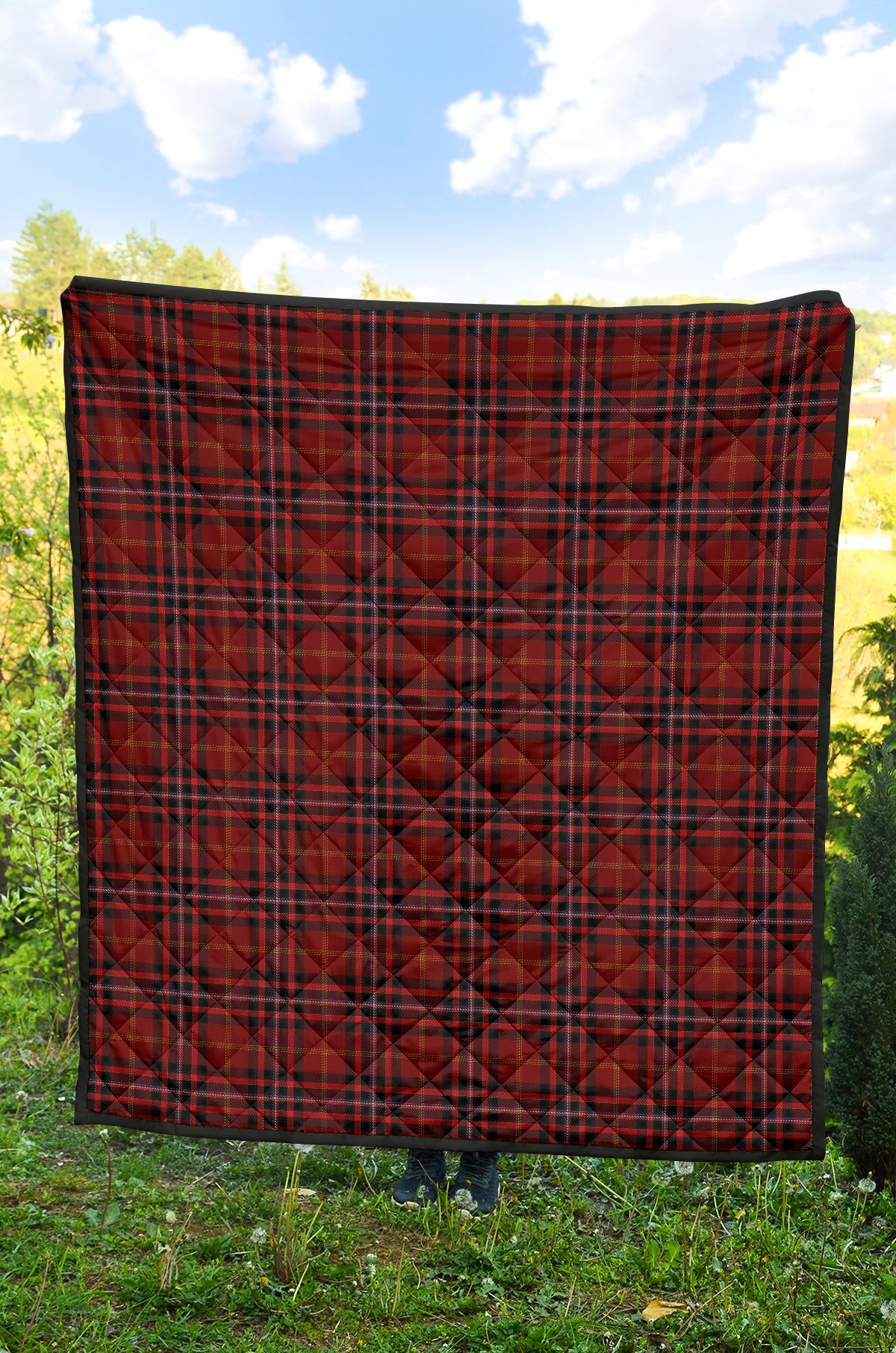 Brim - DeForest of Balvaird Castle Tartan Quilt PP